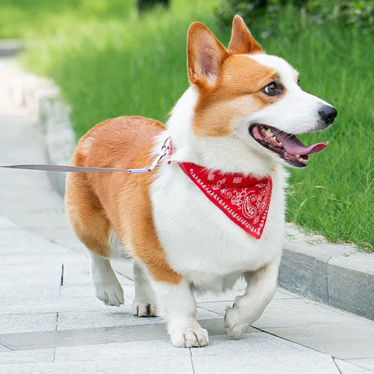 Collier avec bandana